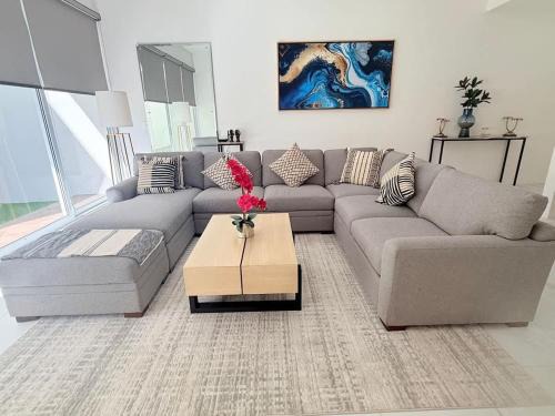 El Medano Ejidal Apartment | 2BR Downtown Cabo Walk to Beach & Dining