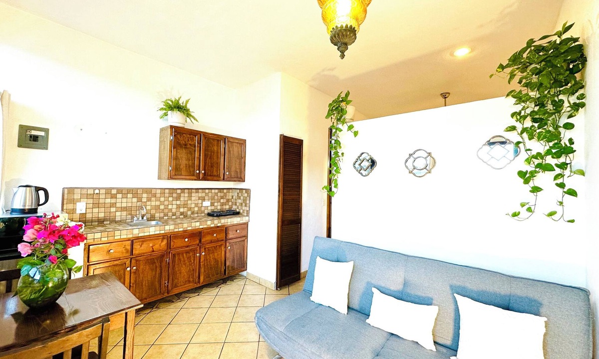 Downtown Cabo San Lucas Apartment | 5 min to Marina/15 minutes walking to the beach, with beautiful garden!