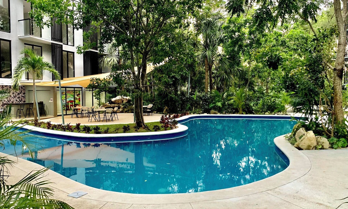 Ejidal Apartment | A peaceful Oasis in nature, just minutes from everything!