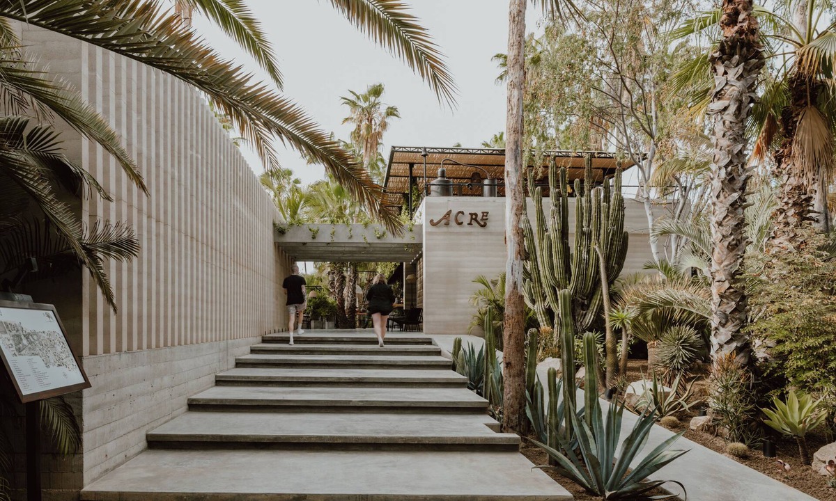 San Jose del Cabo Hotel | Acre Resort & Residences