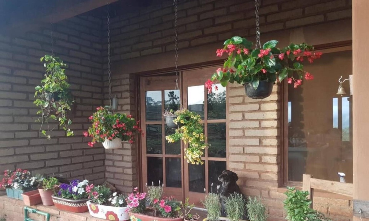 Mascota Cabin | Adobe and wood cabin, lake view, sleeps four.