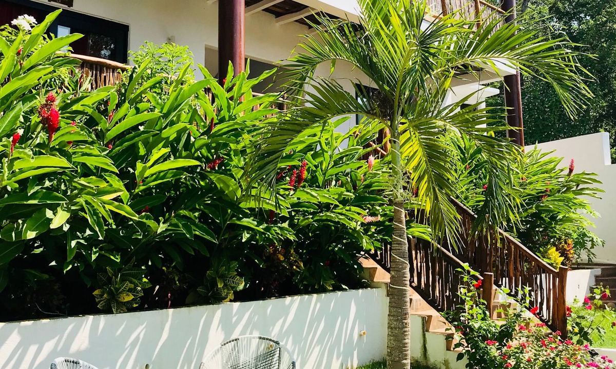 Troncones Hotel | Alfa Resort Troncones