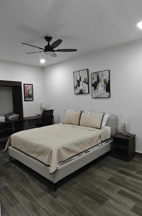Zona Centro Apartment | All In Suites