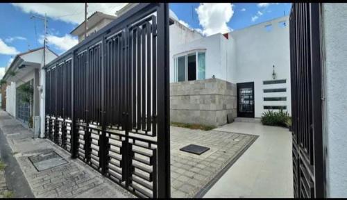 Queretaro House | Alma Xoloitzcuintle