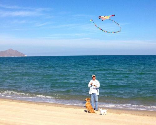 Villas de Las Palmas House | Amazing beach side, Luis Margarita villa