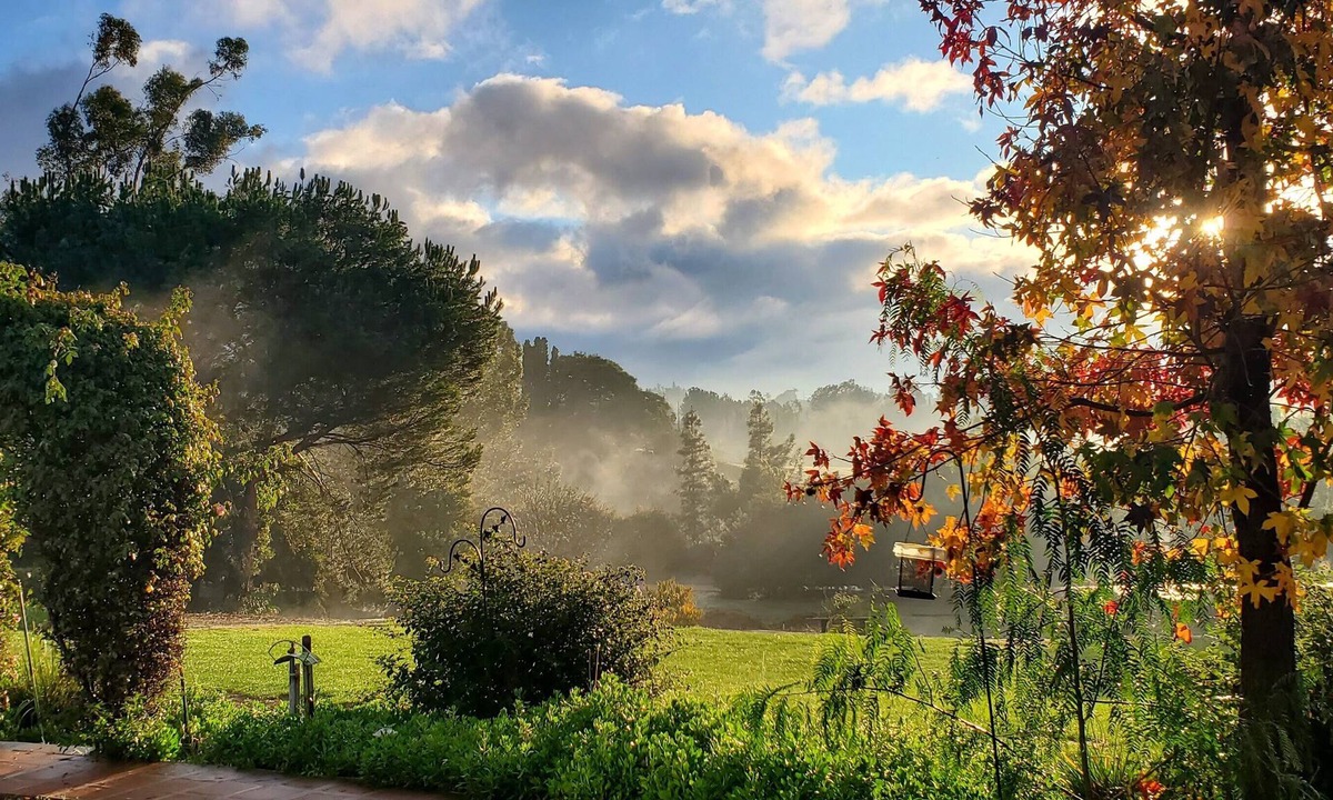 Fallbrook House | Bella Casita-A Quiet Gem Near Wine Country