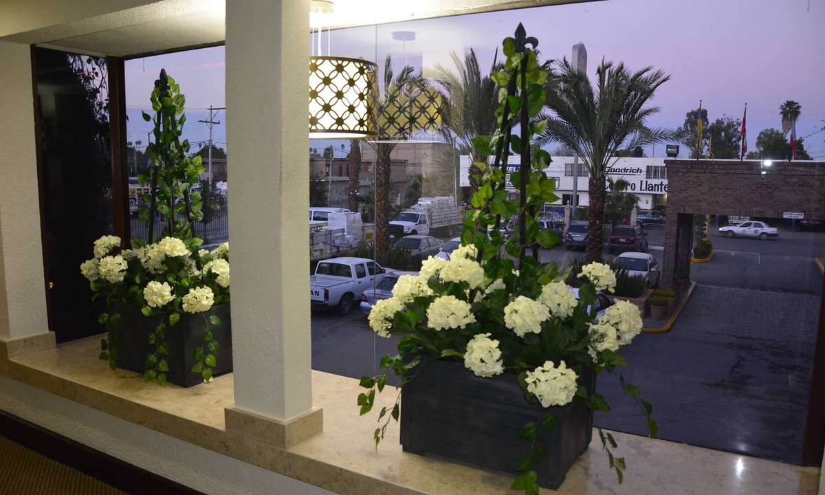 Gomez Palacio Hotel | Best Western Posada Del Rio