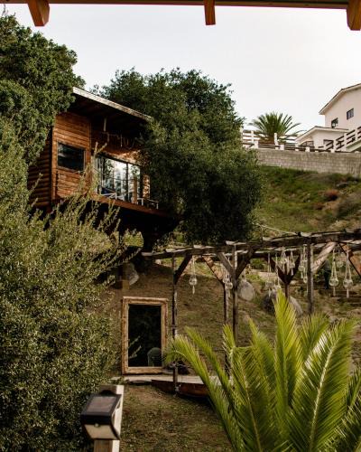 San Antonio de las Minas Hotel | Boskenvid Hotel - Romantic Treehouses & Skypool