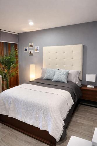 Zapopan Apartment | Bowra, Estudio Zona Consulado ORQ 2