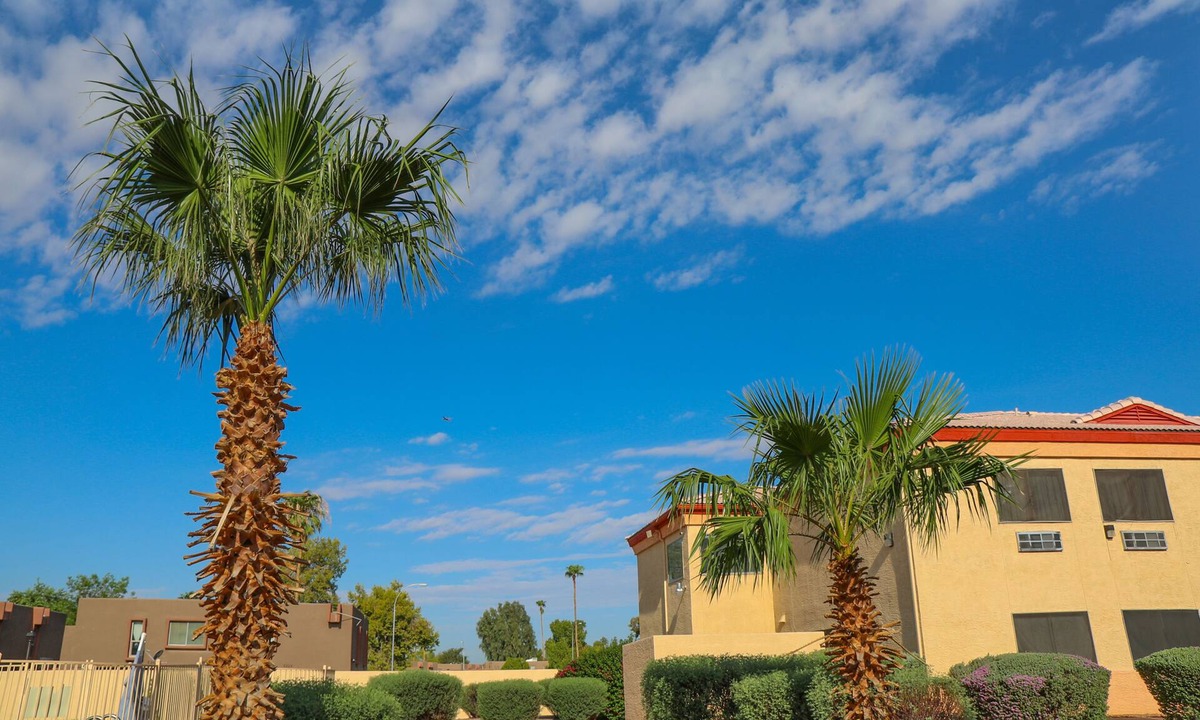 Maryvale Hotel | Budget Inn