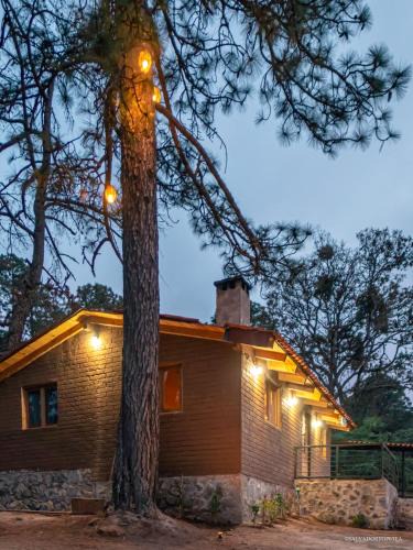 Tapalpa Ski Chalet | Cabaña el Durazno