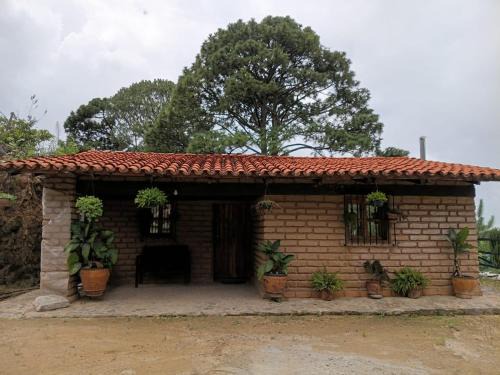 Concordia Ski Chalet | Cabaña El Fresno