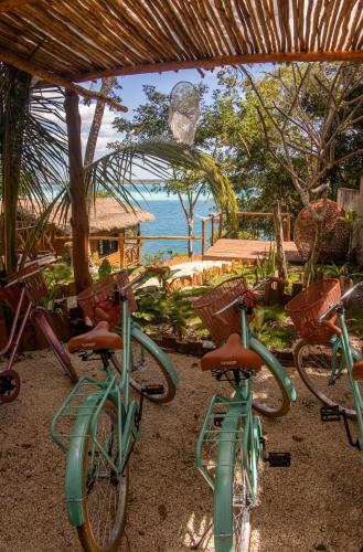 Chetumal Cabin | Cabaña Jules