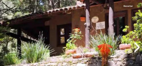 Tapalpa Ski Chalet | Cabañas Tapalpa Sierra del Tecuan, Cabaña Topo