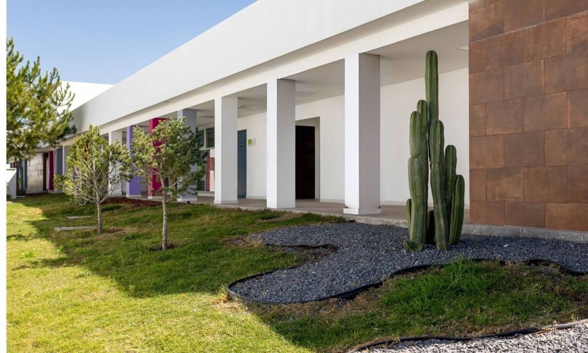 San Miguel de Allende Hotel | Camino de Olivos