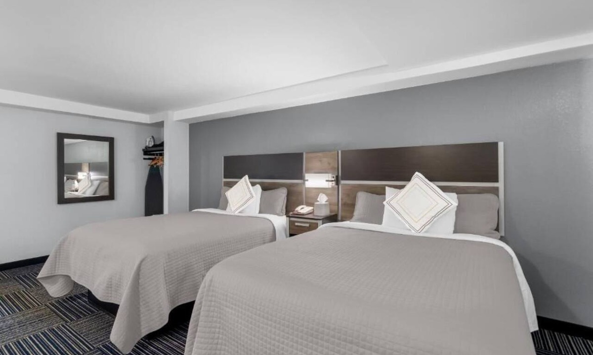 Teaticket Hotel | Cape Cod Charm on a Budget – 2 Rooms Near Beach, Ferry & Dining