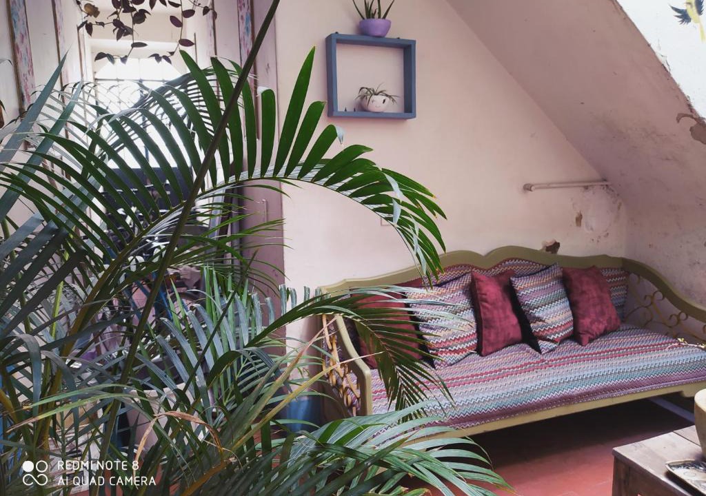 Zona Minerva House | Casa Atenas