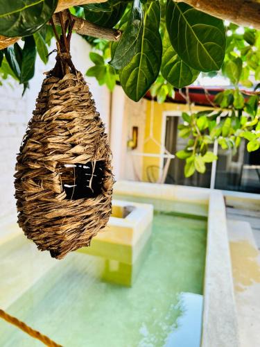 Llano Largo House | Casa de vacaciones completa