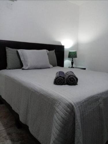 Puerto Penasco Apartment | Casa Manzanilla