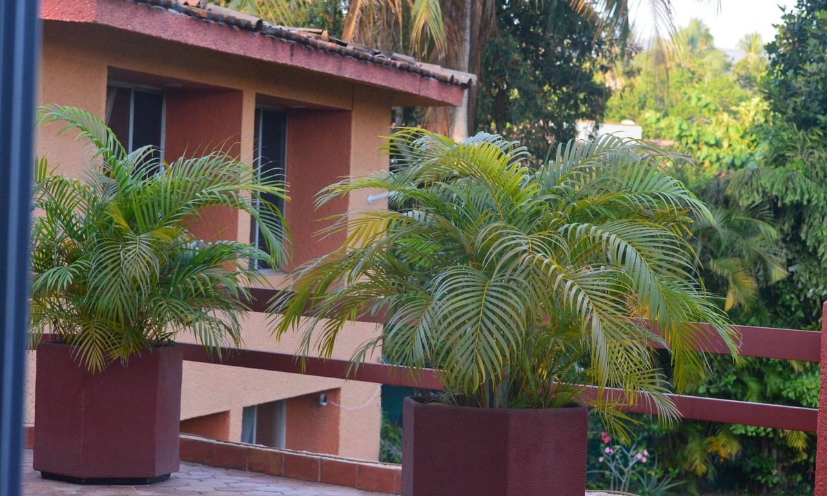Ixtapa House | Casa Mora Mexican House. Great for Families. Walking Distance From the Beach