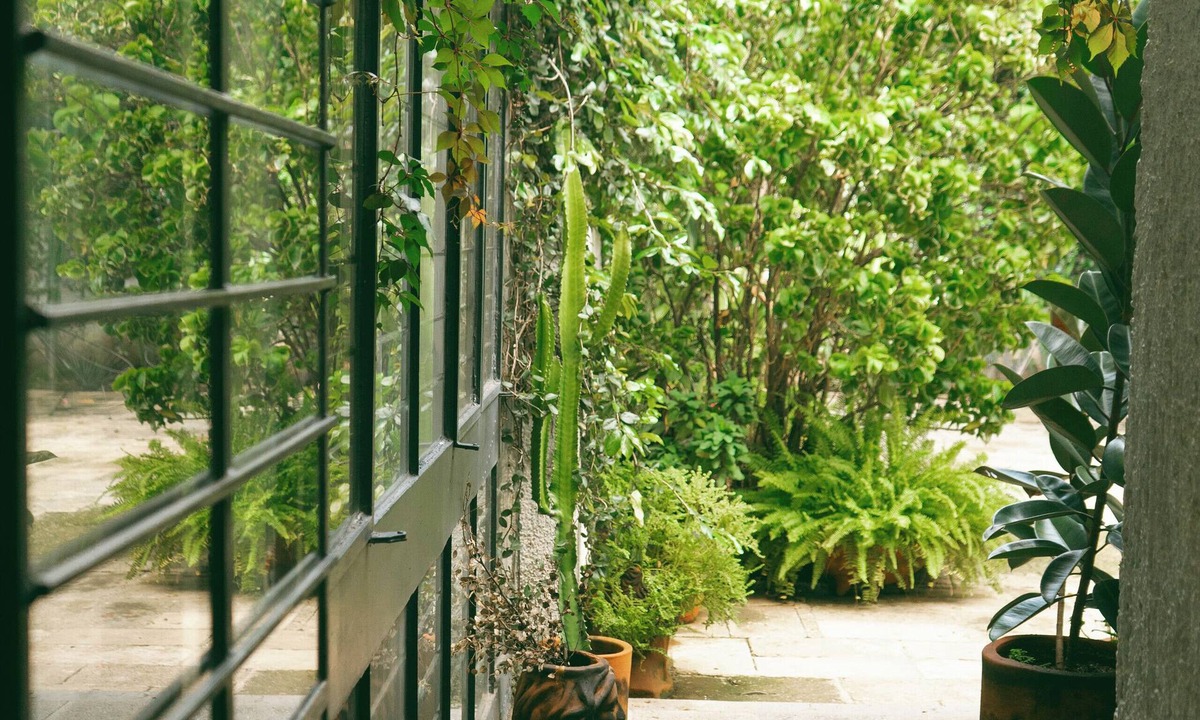 Lafayette Hostel | Casa Sabina