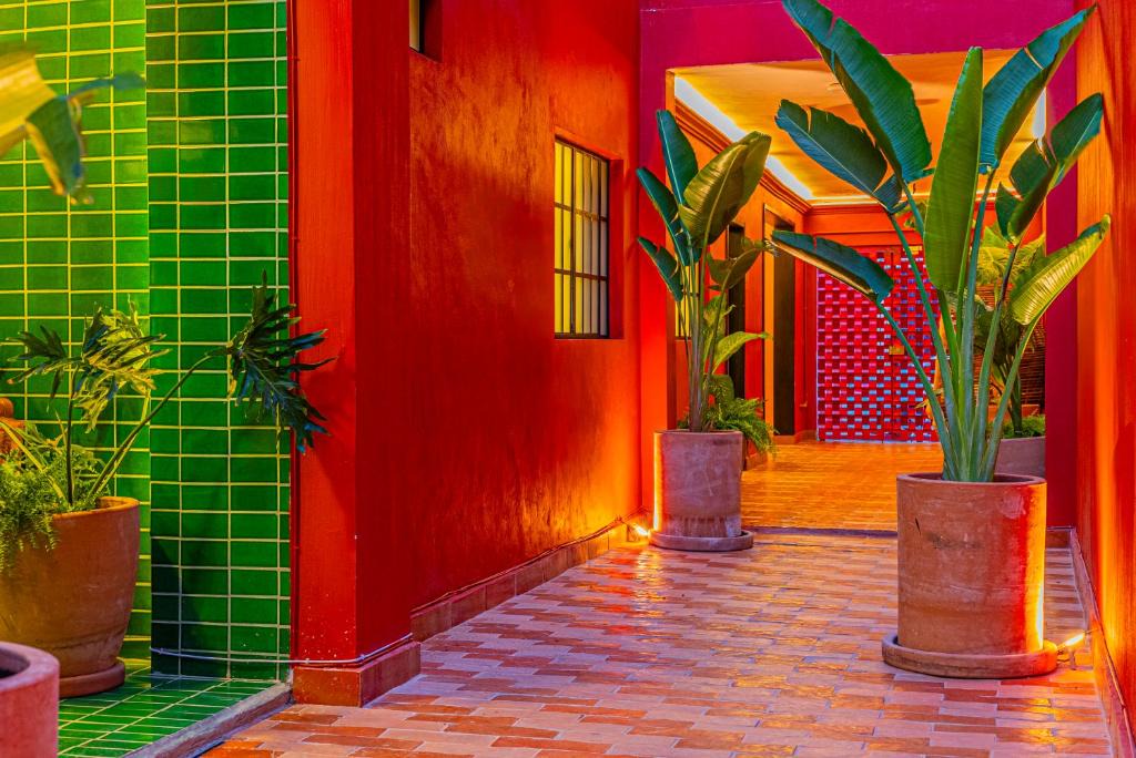 Guadalajara Apartment | Casona Quetzal