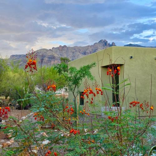 Catalina Foothills Estates House | Catalina Vista - Modern 2BD Foothills Retreat with Amazing Mountain Views