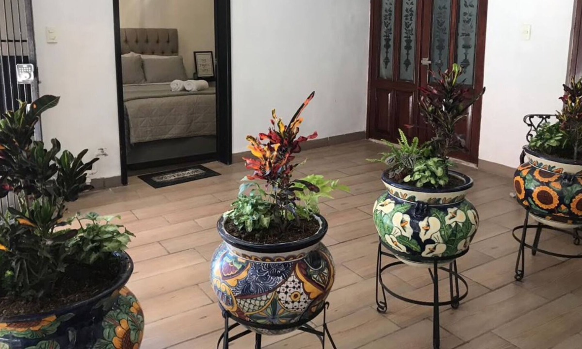 Aguascalientes Apartment | CENTRAL, BEAUTIFUL AND MODERN ROOM