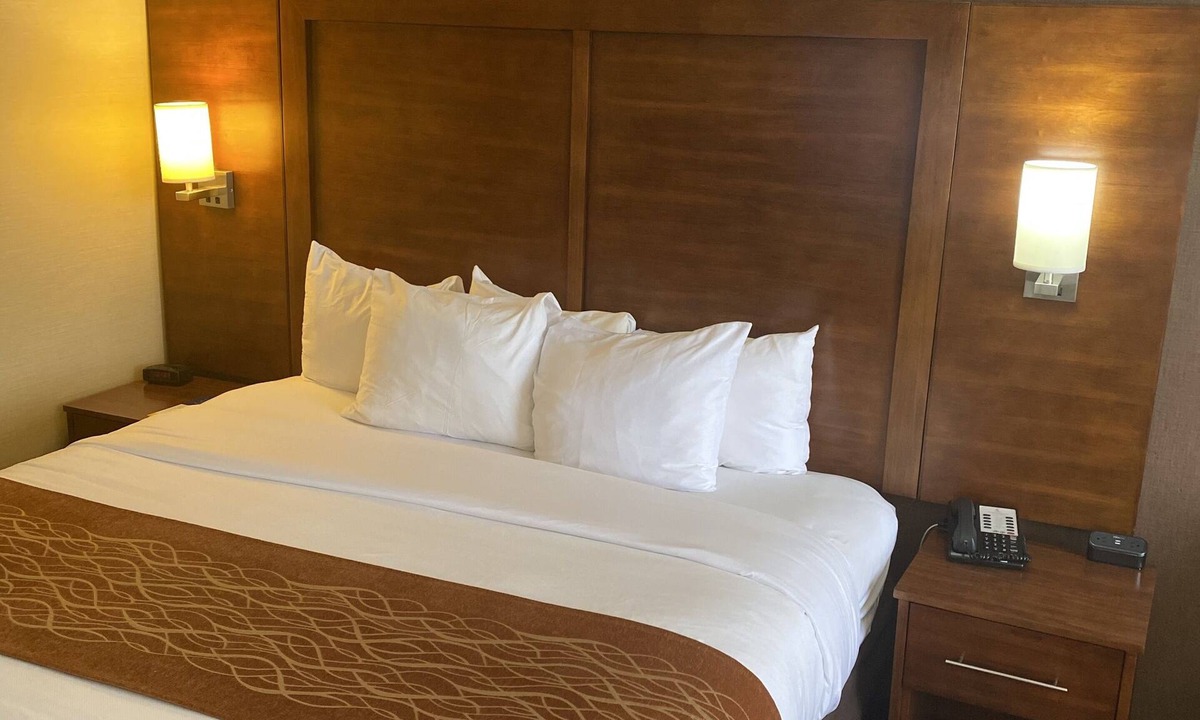 Springfield Hotel | Comfort Inn Springfield