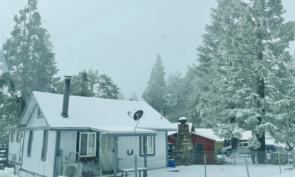 Cedarpines Park Cabin | COZY CABIN WITH WRAPAROUND DECK