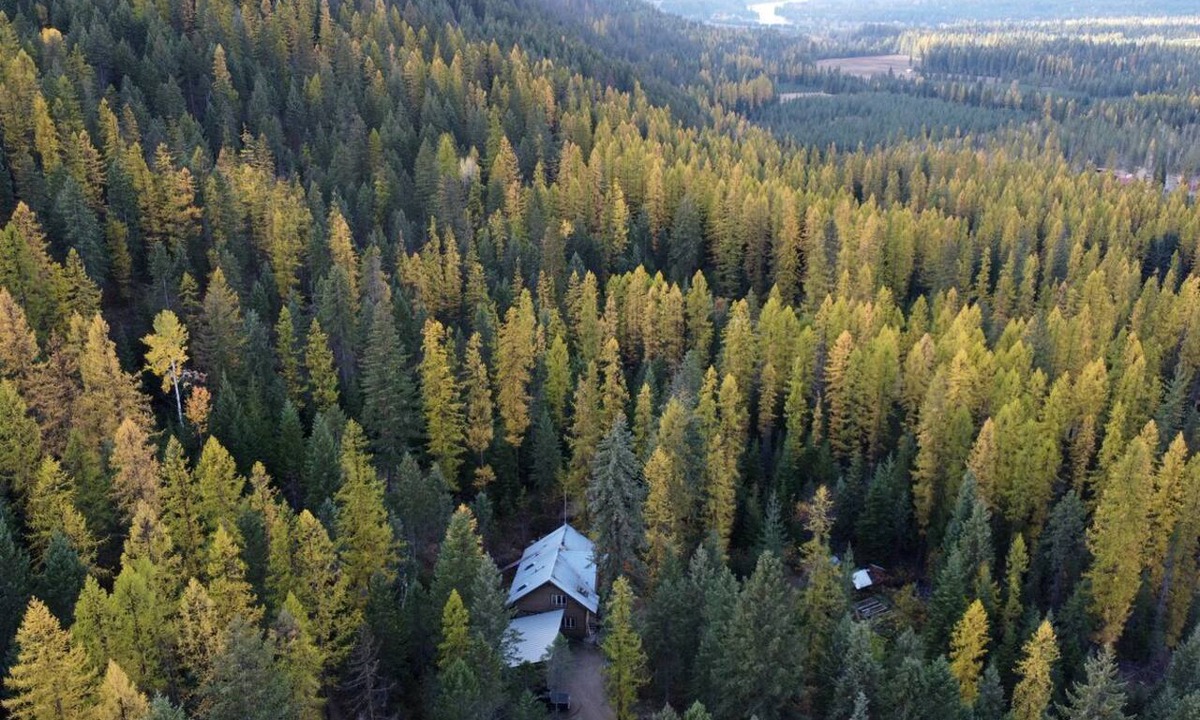 Clark Fork Cabin | Cute Tiny House in the Woods for a Peaceful Getaway in Nature near Clark Fork, Idaho