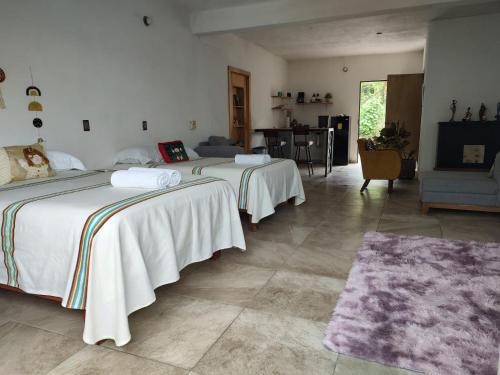 Ixtapa Apartment | departamento huella