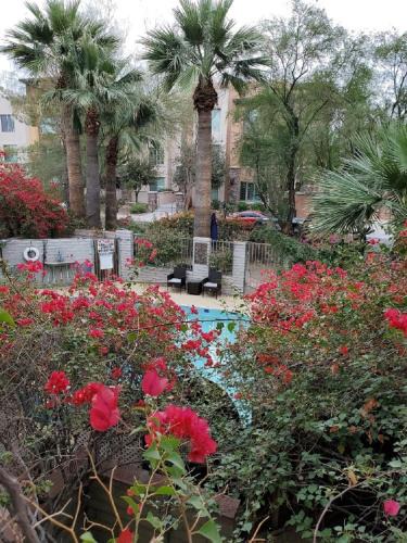 South Scottsdale Apartment | Desert Rose Villas - Private One Bedroom in Old Town Scottsdale
