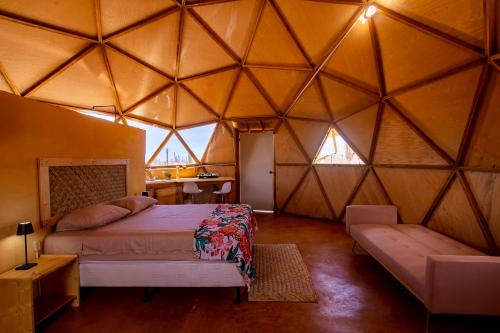 La Paz Other | Domo - Cactus Lodge Baja