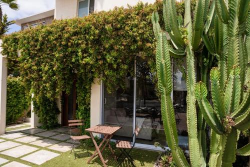 Chapultepec Apartment | Dream sunset view! Skyview Ensenada B