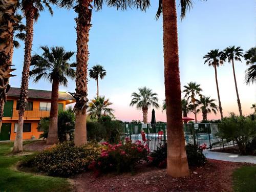Yuma Hotel | Econo Lodge Inn & Suites Yuma