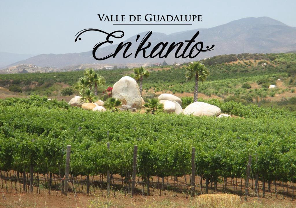 San Antonio de las Minas Hotel | En'kanto Valle de Guadalupe