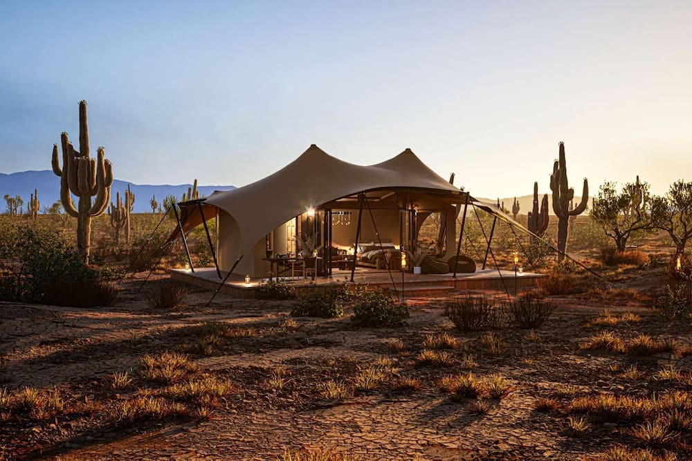 Marana RV Rental | Exclusive Luxury Glamping Retreat on Historic Ranch near Saguaro National Park, Arizona