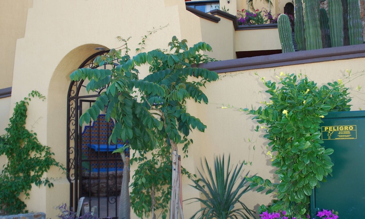 Pedregal Villa | Four-Story Luxury Villa in Pedregal With Two Pools and Walking Distance to Town