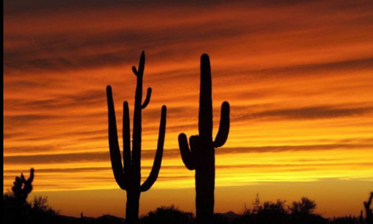 Cottonflower House | FUN IN THE ARIZONA SUN! HEATED POOL!