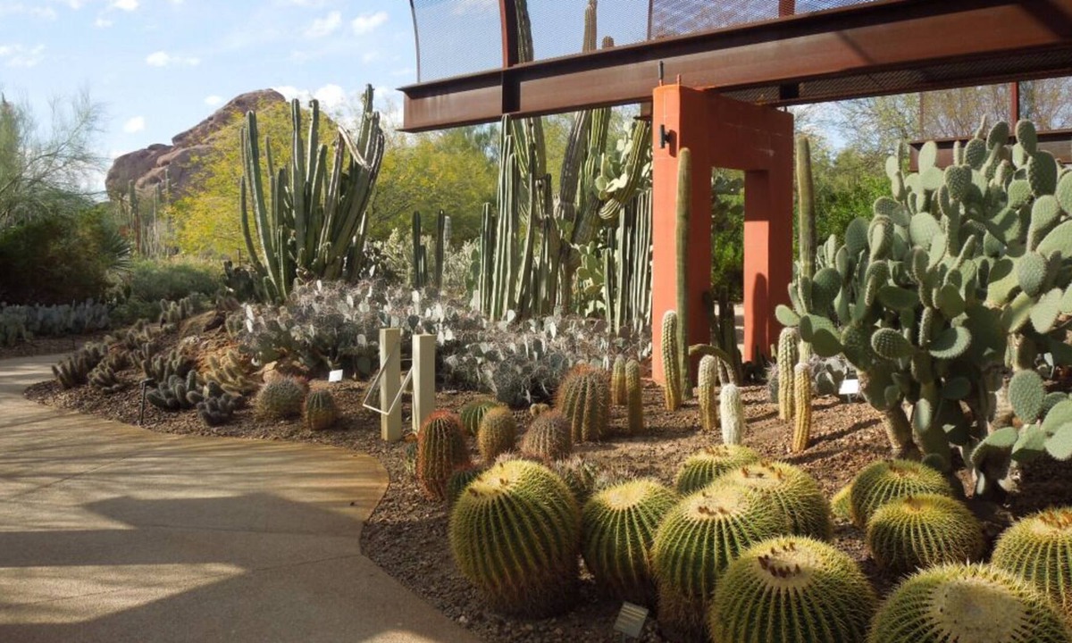 South Scottsdale Resort | Great for Group Travel! 3 Pet-friendly Units, Free Parking and Shuttle Service!
