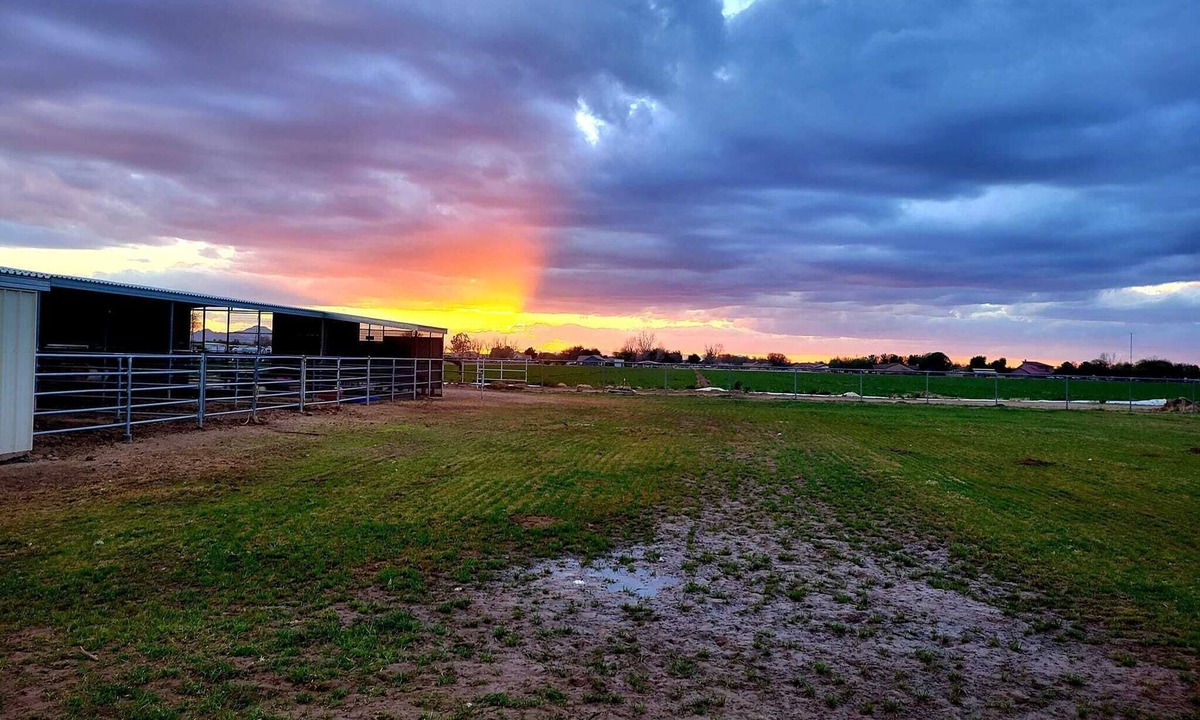 San Tan Valley House | Guest House with horse privilege's, in the country & beautiful neighborhood.