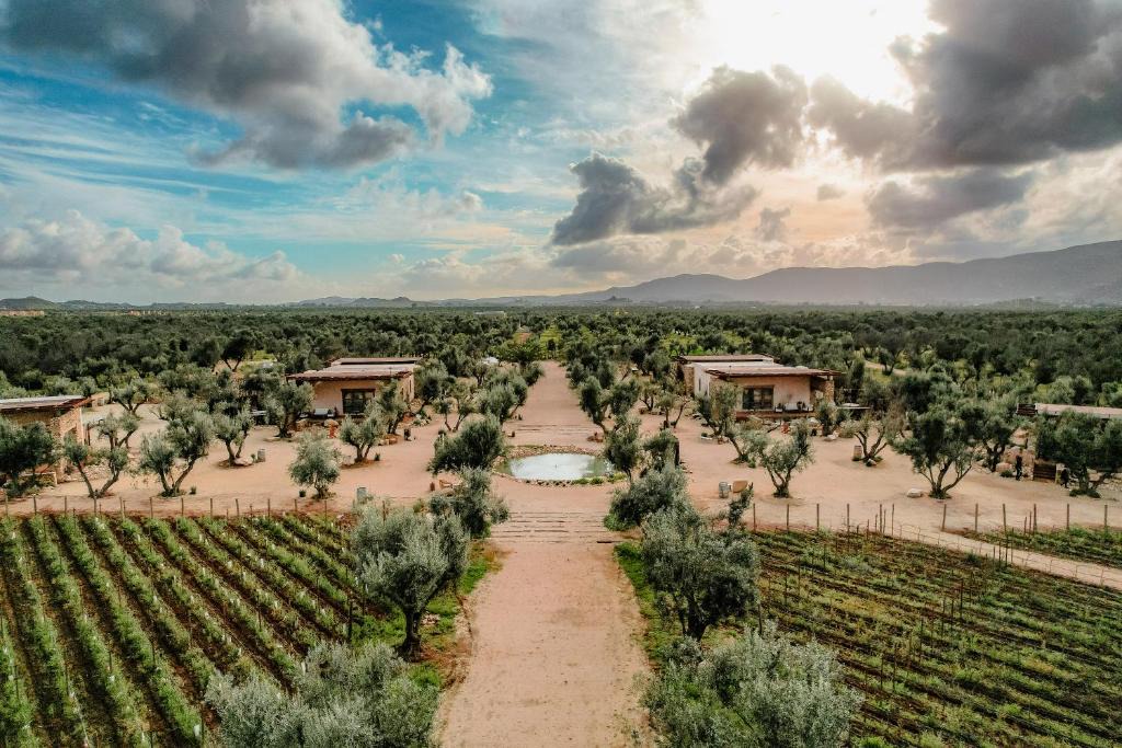 Valle de Guadalupe Resort | Hábimo - Valle de Guadalupe