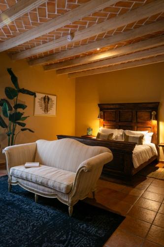 Zona Centro Bed & Breakfast | Habibi Hotel and SPA