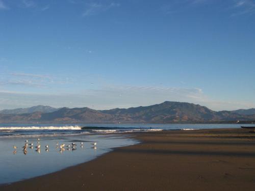 Barra de Potosi Bed & Breakfast | Hacienda La Rusa