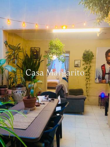 Downtown Guadalajara House | Hostal Casa Margarito