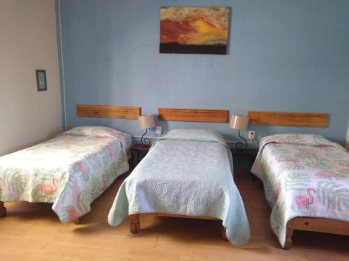 Zona Minerva House | Hostal Don Felipe