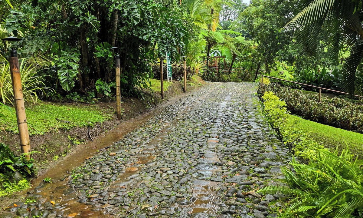 Tapachula Hotel | Hotel Argovia Centro Wellness