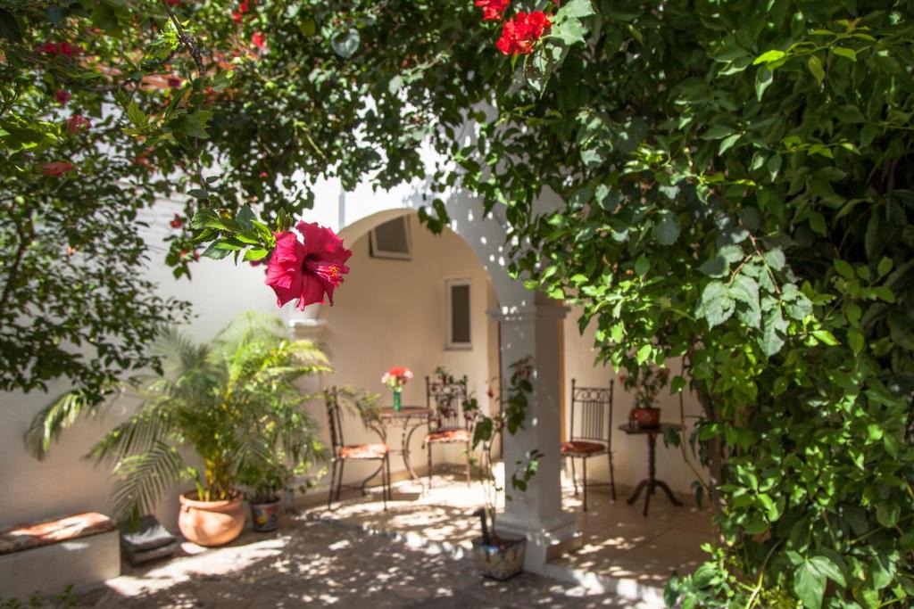 Zona Centro Hotel | Hotel Casa San Miguel