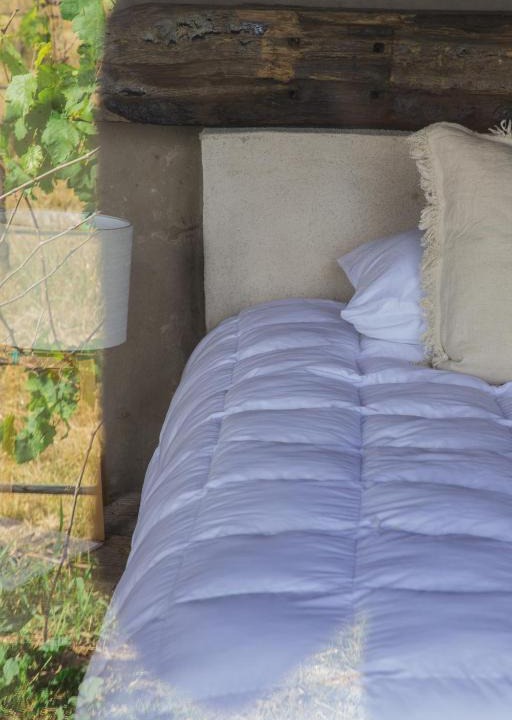 Colon Cabin | Hotel de Tierra Viñedo y Spa - Aeropuerto Querétaro